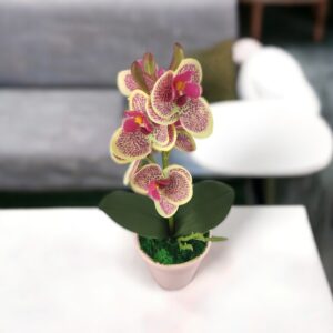 Krém-ciklámen orchidea ORM112