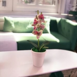 Krém-ciklámen orchidea ORM112