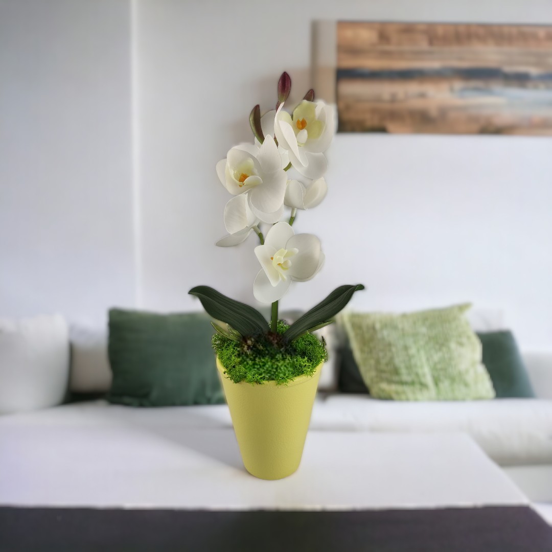 Fehér mini orchidea kaspóban ORM114