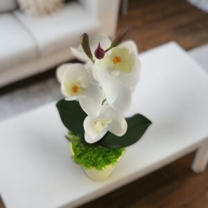 Fehér mini orchidea kaspóban ORM114