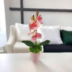 Rózsaszín, fehér cirmos mini orchidea kaspóban ORM115