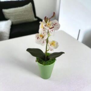 Fehér-burgundi pöttyös mini orchidea kaspóban ORM117