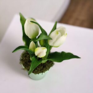 Élethű fehér tulipánok TUE523