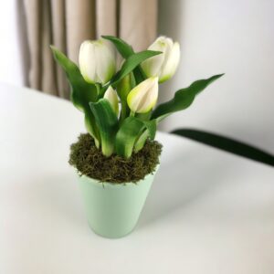 Élethű fehér tulipánok TUE523