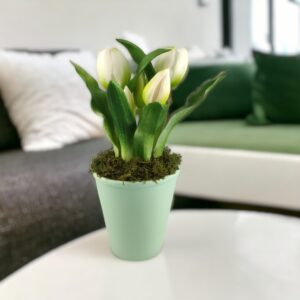 Élethű fehér tulipánok TUE523