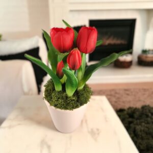Élethű piros tulipánok TUE524