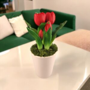 Élethű piros tulipánok TUE524