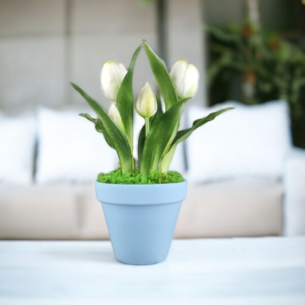 Élethű fehér tulipánok kaspóban TUE515
