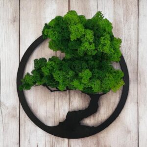 Bonsai fa tartósított izlandi zuzmóból