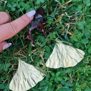 GINKGO BILOBA FÜLBEVALÓ SÁRGARÉZBŐL