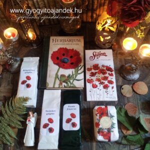 Gyógynövényes ajándékcsomag olvasóbox Herbárium könyvvel, teával, szappannal, angyallal