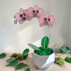 Orchidea üveg örökvirág dekoráció