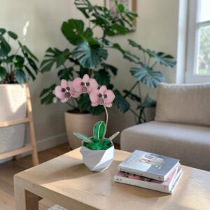 Orchidea üveg örökvirág dekoráció