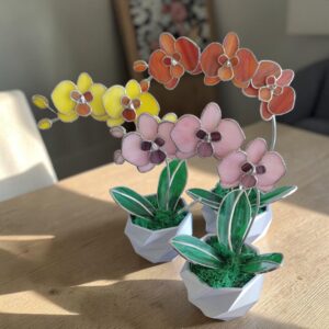 Orchidea üveg örökvirág dekoráció