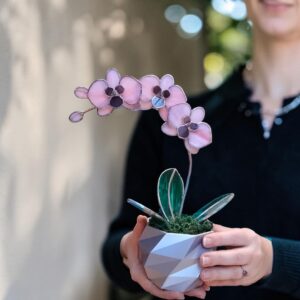 Orchidea üveg örökvirág dekoráció