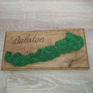 Balaton kèp izlandi zuzmóval