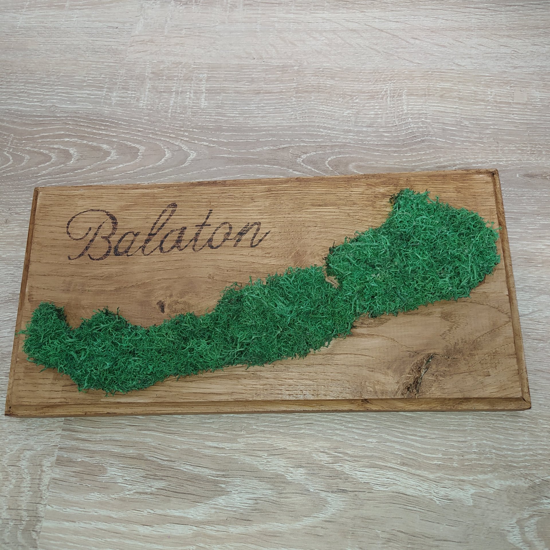 Balaton kèp izlandi zuzmóval