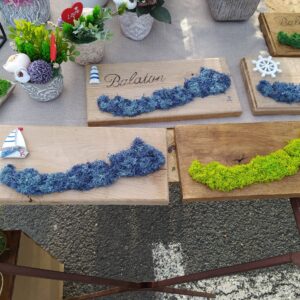 Balaton kèp izlandi zuzmóval