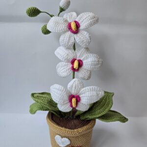 Horgolt kaspós orchidea