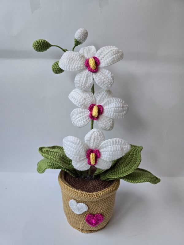 Horgolt kaspós orchidea