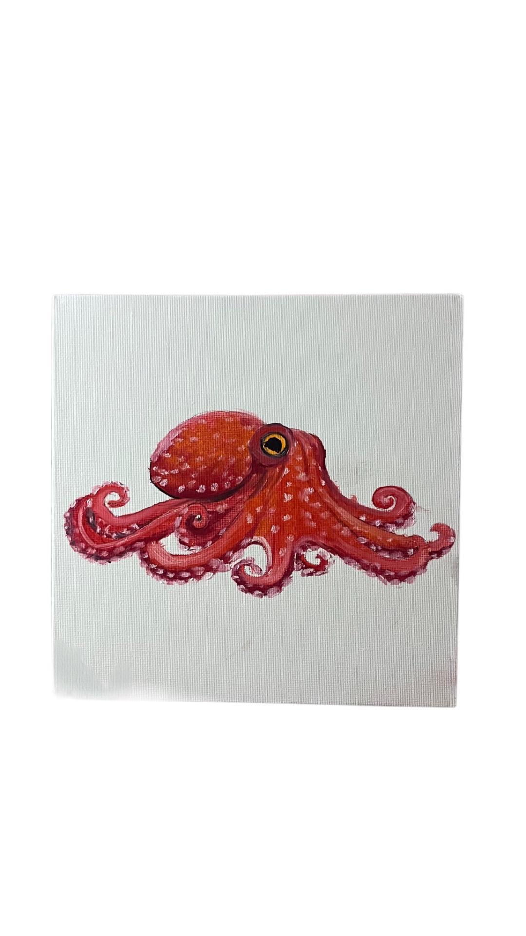 Vörös Polip (Octopus vulgaris) – Eredeti olajfestmény