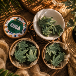 Fülledt Cuba illatviasz