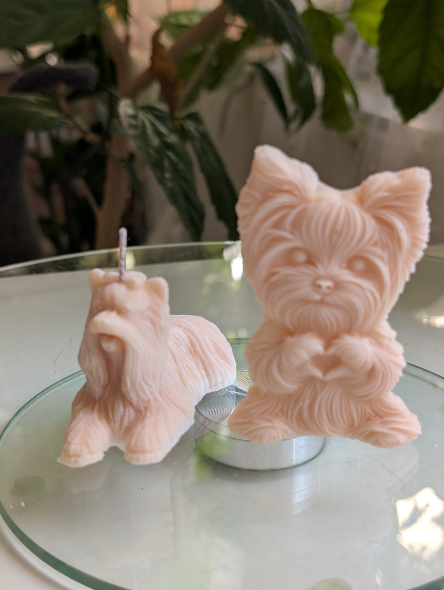 Yorkshire terrier gyertya és illatviasz