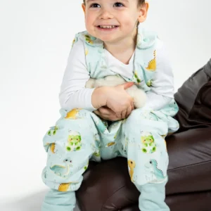 Bébi dínó tipegő hálózsák