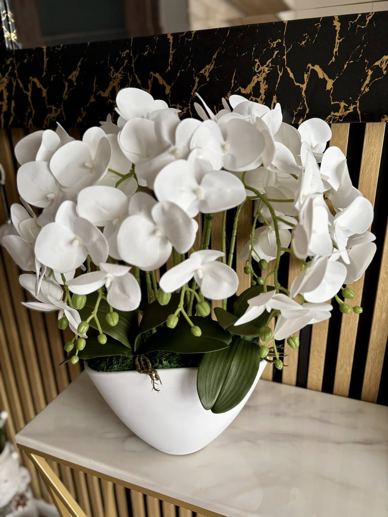 Csónak kaspós orchidea