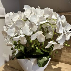 Csónak kaspós orchidea
