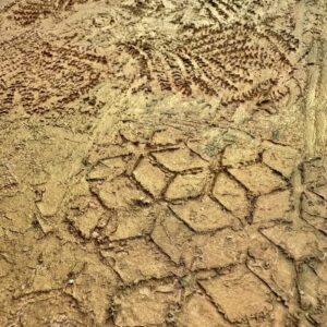 Absztrakt festmény | 40×40 / Arany Terrakotta