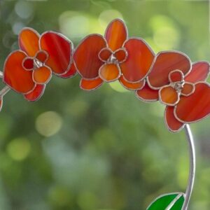 Üveg orchidea virág – Őszi asztaldísz