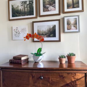 Üveg orchidea virág – Őszi asztaldísz