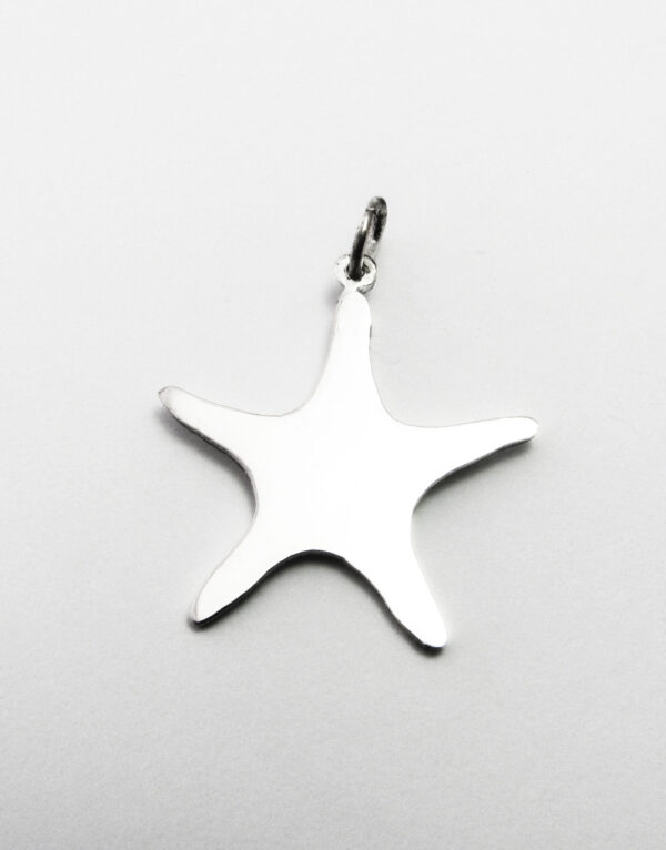 Ezüst tengeri csillag medál – Minicsiga állatkertje