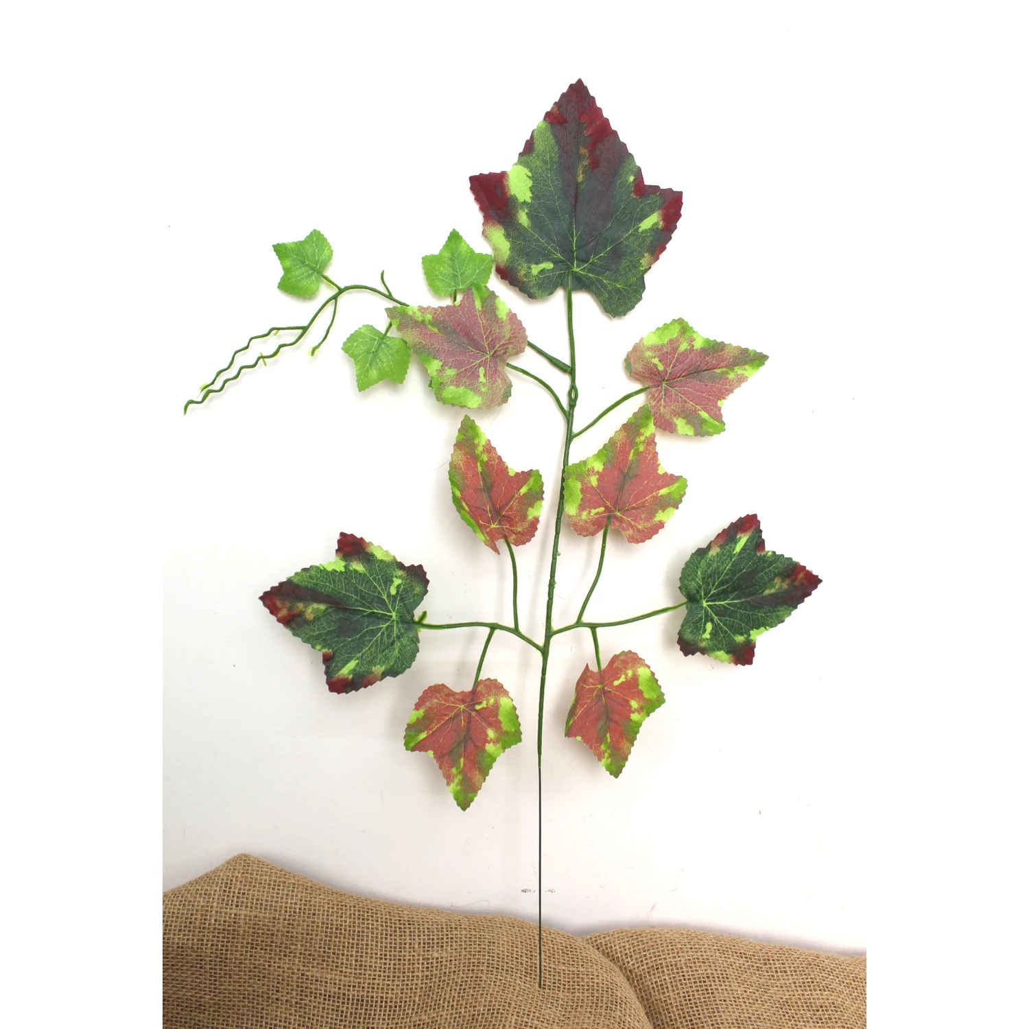 Zöld vadszőlő örök levélág, 50 cm