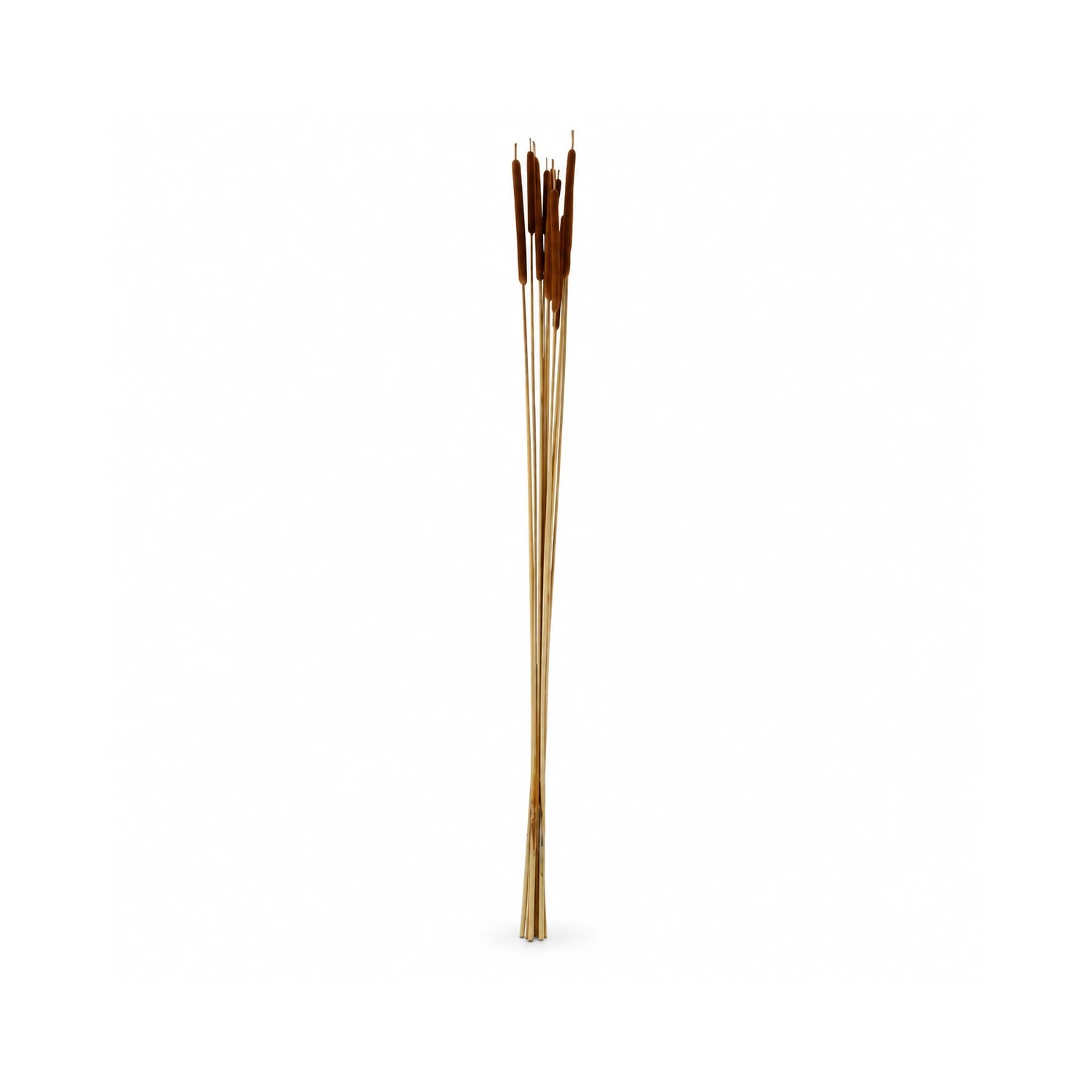 Szárított gyékény dekorág, 90–100 cm – natúr