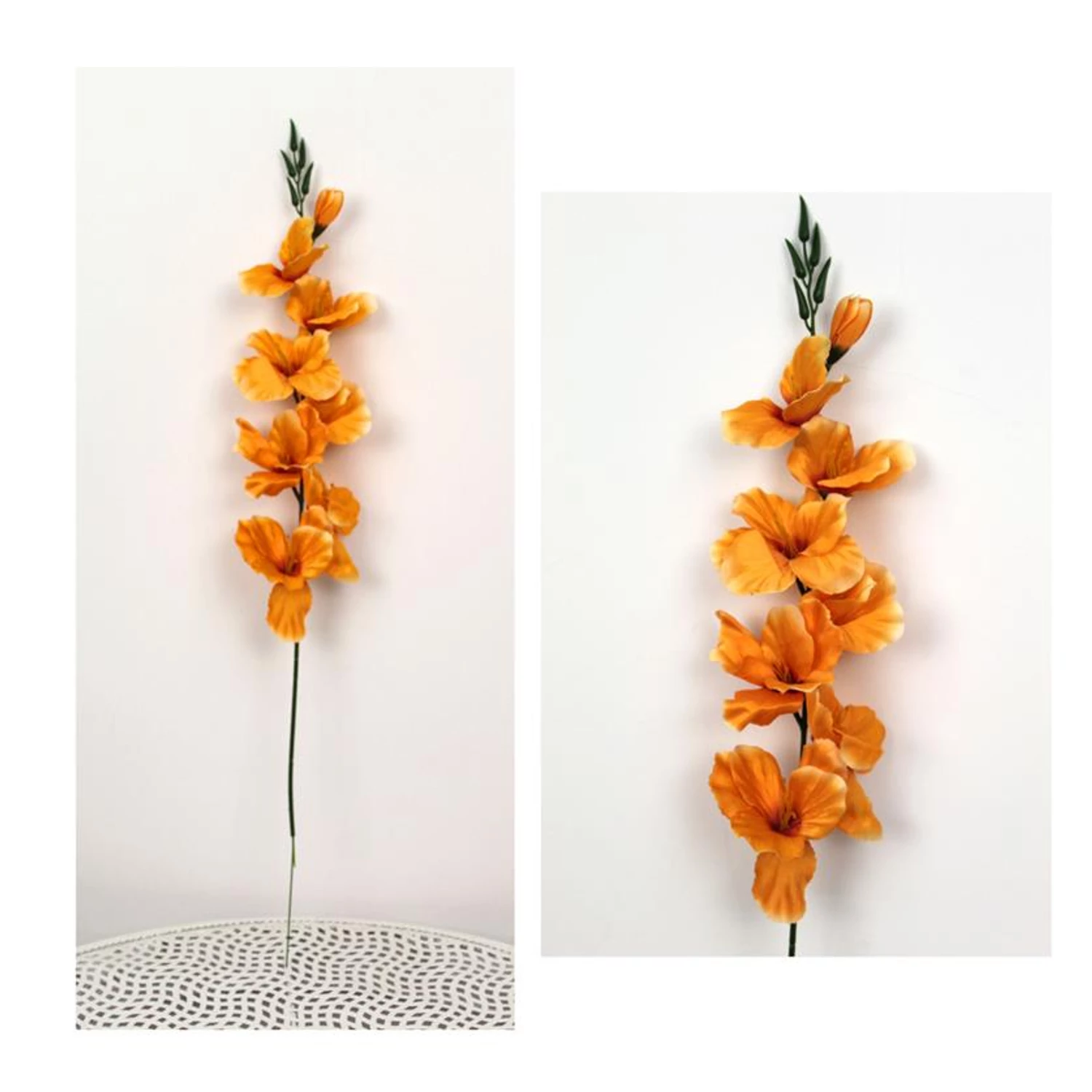 Örök kardvirág szál, 70 cm – 7 virág és 1 bimbó